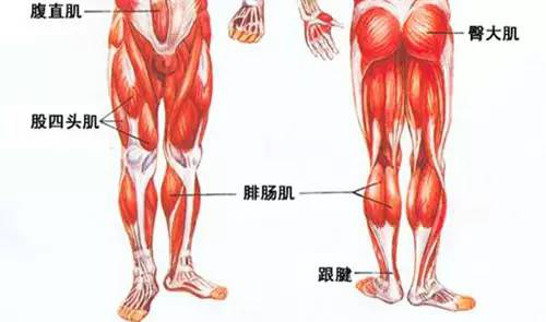 康复 英智康复 康复训练