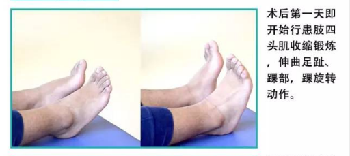 康复 英智康复 康复训练